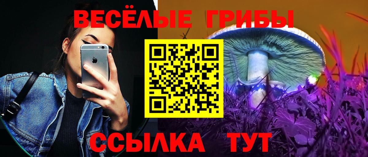 Псилоцибиновые грибы MAGIC MUSHROOMS Белово