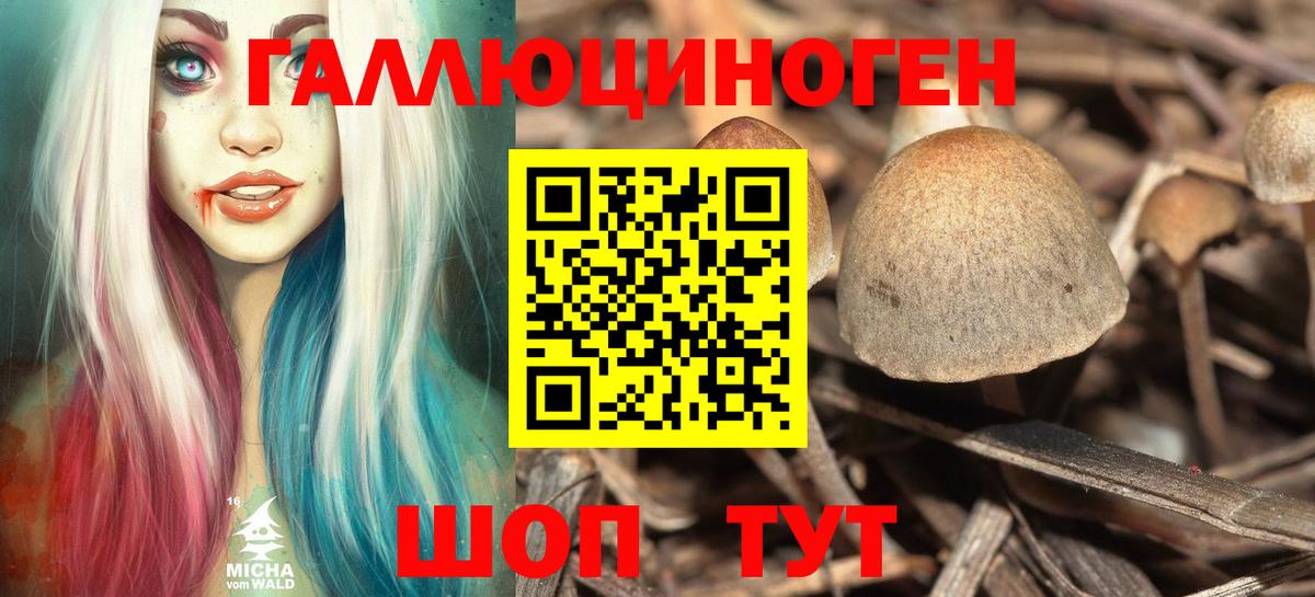 Псилоцибиновые грибы Psilocybe  Вход с VPN  Белово 